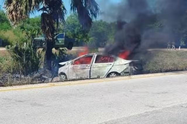 El vehículo salió de la carretera, chocó contra una palmera y estalló en llamas.