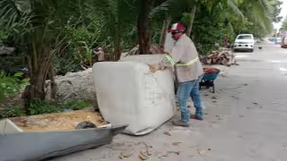 Ha resultado insuficiente la labor de vigilancia de las autoridades estatales y federales.