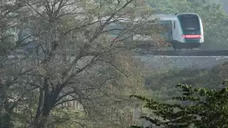  Suspenden servicio del Tren Maya en Campeche en la Ruta Palenque-Cancún: Así quedará el servicio este miércoles  