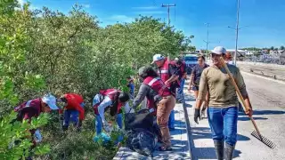 Retiran casi una tonelada de desechos atrapados entre los manglares y zonas costeras