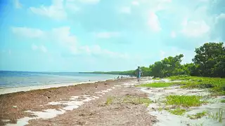 Comienza a percibirse el alga marina entre Chabihau y Santa Clara