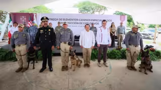Seguridad en Yucatán se refuerza con la llegada de Mary, Zaphir y Jackson,  binomios caninos para detección de explosivos