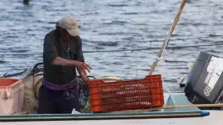  Instituto de Pesca de Campeche se deslinda de la crisis en el sector