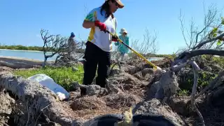 Voluntarios comprometidos con el medio ambiente recolectan basura arrojada por el mal tiempo