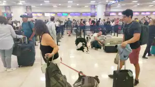 Momento emotivo en la Terminal 2: Mujer junto a sus perritos, se despiden de su novio en el aeropuerto de Cancún