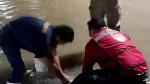 Elementos de Protección Civil, estuvieron realizando el bombeo de agua