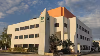 Denuncian transmisión materno-infantil de VIH en recién nacidos