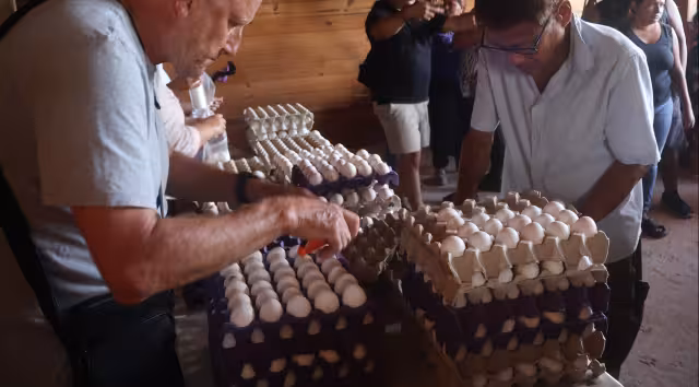 Productores nacionales denuncian competencia desleal por importación de huevo