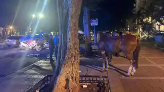 Conductor choca contra una calesa jalada por un caballo en Mérida