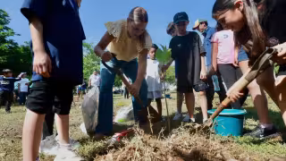 Cecilia Patrón celebra que Mérida rebase la meta de la Cruzada Forestal 2026