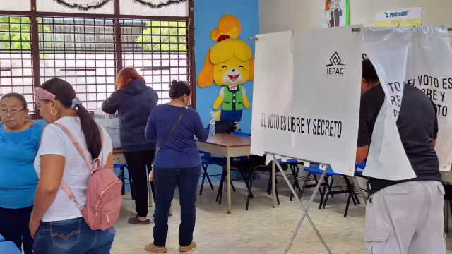 Se ha registrado buena afluencia de personas en las elecciones a comisarios de Mérida