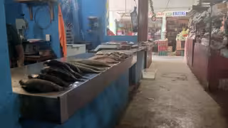 Cuaresma no impulsa ventas de pescados en Escárcega