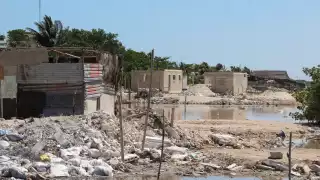 Usan la ciénega de Progreso para la venta ilegal de terrenos