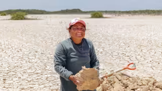 Sisal apuesta por el turismo regenerativo tras recuperación de manglares