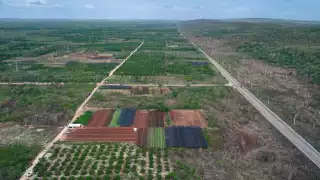 Los campos deben ser protegidos ante la amenaza de un Huracán