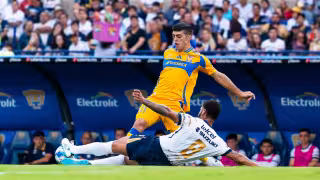 Pumas y su dolor de cabeza, Tigres.