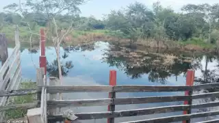 La comunidad San Ángel es la más afectada, con caminos de acceso todavía inundados; temen que salgan afectados más de mil 200 productores.