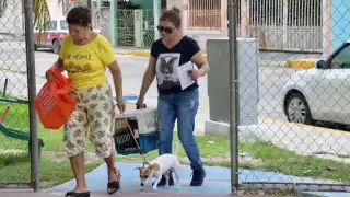 El Centro del Bienestar Animal asegura que la Secretaría de Salud ha limitado el número de dosis de vacunas antirrábicas en la cabecera municipal.