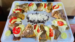 Rosca de pescado frito en Lerma, Campeche, se vuelve viral: ¿La probarías?