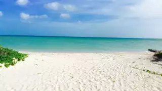 Conoce las Playas Platino de Yucatán reconocidas por su compromiso con la conservación ecológica