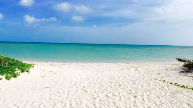 Las playas de Yucatán tienen gran importancia ambiental