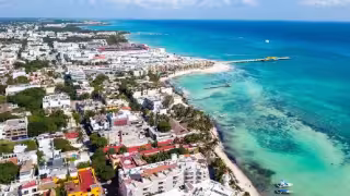 Rescatan el ‘último pulmón verde’ de Playa del Carmen tras el fraude de Derimaya 