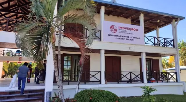 Licencias apócrifas: fraude y riesgo legal para ciudadanos