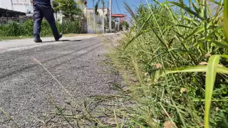 Vecinos denuncian abandono de ciclovía en zona turística de Champotón