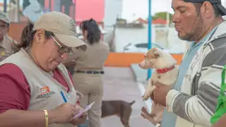 La Secretaría de Salud de Campeche realiza este viernes 22 de agosto una jornada intensiva de vacunación antirrábica gratuita.