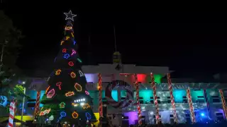 Cientos de familias se reunieron para apreciar los adornos navideños