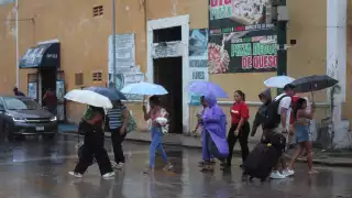 A un mes de que concluya el periodo 2025, Procivy subraya que la clave es permanecer informados