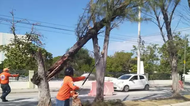 Más de 12 afectaciones por frente frío 24