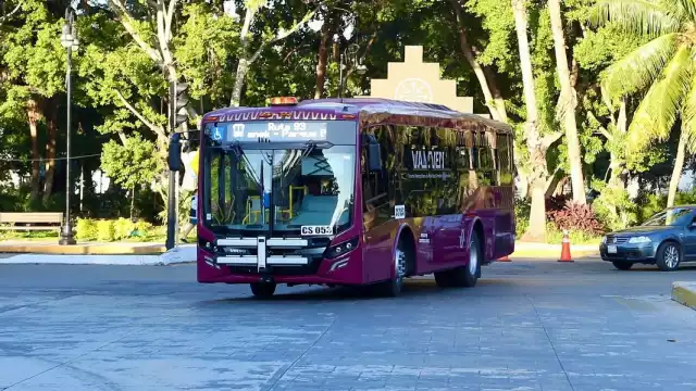 Es la primera ruta a excepción de la del Periférico que es color guinda