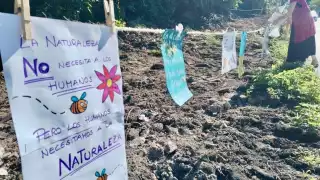 Se informó que trabajadores con maquinaria pesada han estado devastando la selva