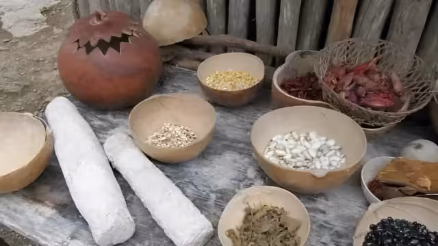 Comienzan a adquirir la jícara, ya que es un implemento necesario para la temporada de finados