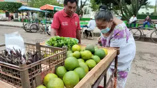 El costo del kilo de limón oscila entre los 12 y los 15 pesos.