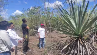 Impulsan iniciativa en Sahcabá para revitalizar y diversificar las antiguas actividades productivas