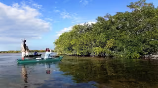 Yucatán trabaja con Semarnat para evitar daños ambientales similares a los de Mahahual
