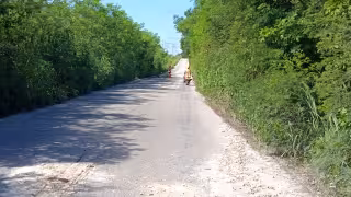“No son baches, son zanjas”: denuncian abandono de carretera en Candelaria