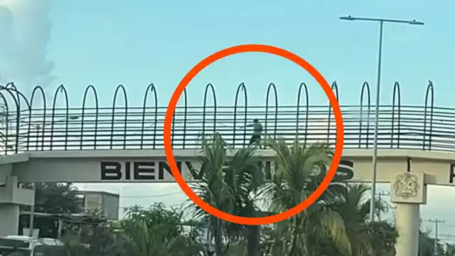 “¿Rocky eres tú?" Captan a joven ‘haciendo sombra’ en pleno puente peatonal de Playa del Carmen
