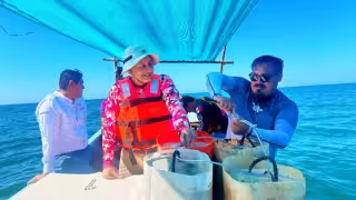 Fechas que debes respetar para no incurrir en pesca ilegal en Yucatán