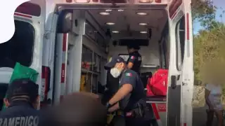 Perros pitbulls atacan a una mujer de 70 años en San Ignacio, Progreso