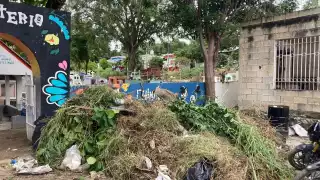 Dan "manita de gato" a cementerios de Campeche 