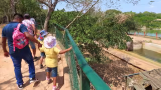 Animaya y el Zoológico del Centenario: ¿abrirán durante el día inhábil del 16 de marzo?