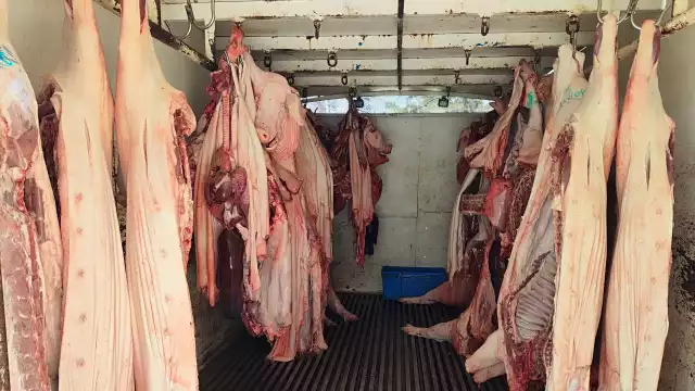 Por falta de mantenimiento, hace 20 días el AFA funciona al 30% de su capacidad de refrigeración