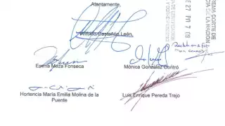 Miembros del cómite presentaron su renuncia ante la SCJN