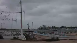 Frente Frío 25 paraliza la pesca ribereña en el Litoral Oriente de Yucatán