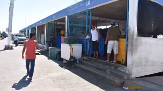 Pesca de mero en Yucatán arranca con bajas capturas, pero hay optimismo por la temporada