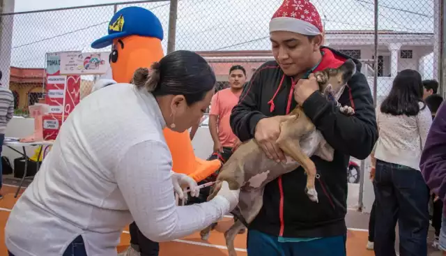 La atención directa corresponde al Ayuntamiento, pero ha sido omiso con sus responsabilidades