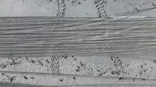 Denuncian invasión de autos todo terreno en zonas protegidas para tortugas en Carmen      